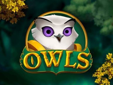 owls_Horizontal.png